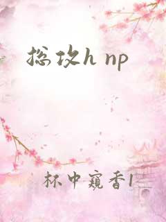 总攻h np