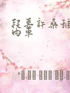 段嘉许桑稚浴室肉车