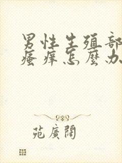 男性生殖部位有瘙痒怎么办