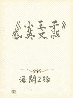 《小王子》读后感英文版