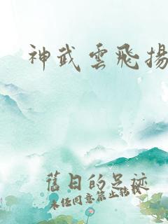 神武云飞扬