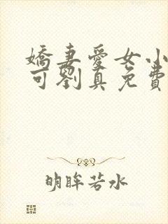 娇妻爱女小说小可刘真免费阅读