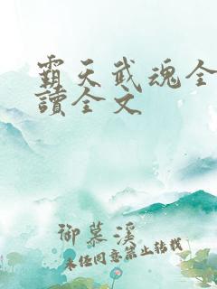 霸天武魂全文阅读全文