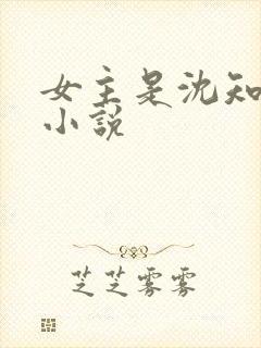 女主是沈知夏的小说