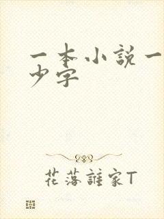 一本小说一般多少字