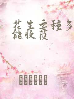 花生要种多久才能收获