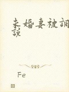 未婚妻被调教小说