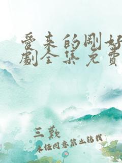 爱来的刚好电视剧全集免费播放