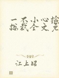 一不小心捡到个总裁全文免费阅读