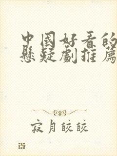 中国好看的破案悬疑剧推荐