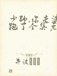 少帅,你老婆又跑了全集免费观看
