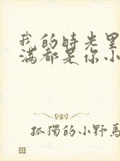 我的时光里,满满都是你小说免费讲述