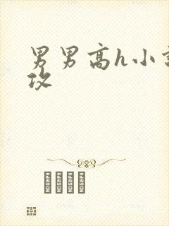 男男高h小说总攻