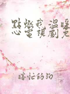 点燃我温暖你的心电视剧免费观看