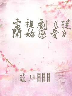 电视剧《从结婚开始恋爱》免费观看