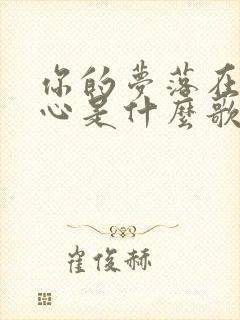 你的梦落在我手心是什么歌