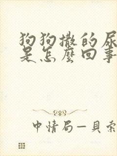 狗狗撒的尿很黄是怎么回事