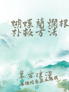 蝴蝶兰烂根最佳补救方法