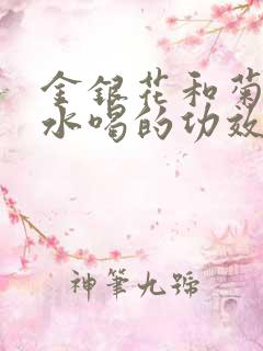 金银花和菊花泡水喝的功效与