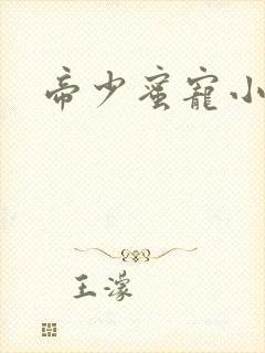 帝少蜜宠小娇妻
