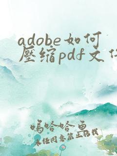 adobe如何压缩pdf文件大小