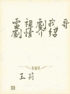 电视剧我哥我嫂剧情介绍
