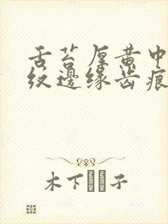 舌苔厚黄中间裂纹边缘齿痕