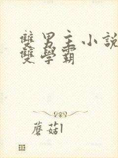 双男主小说校园双学霸