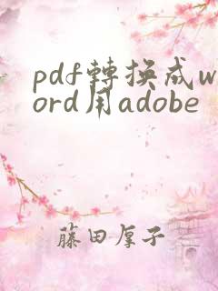 pdf转换成word用adobe