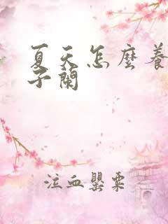 夏天怎么养护君子兰