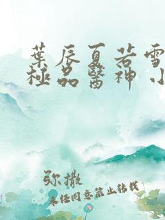 叶辰夏若雪都市极品医神 小说