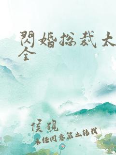 闪婚总裁太霸道全