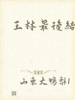 王林最后结局