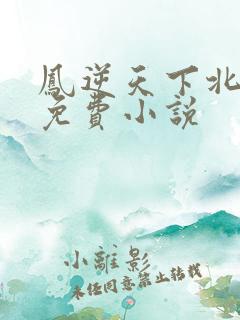 凤逆天下北月篇免费小说