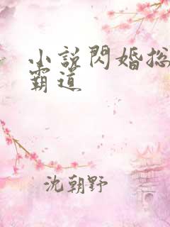 小说闪婚总裁太霸道