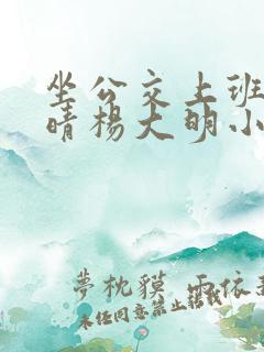 坐公交上班的苏晴杨大明小说