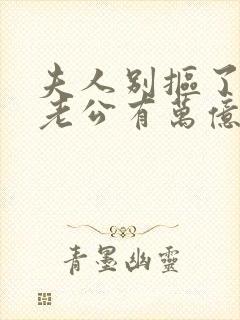 夫人别抠了,你老公有万亿家产