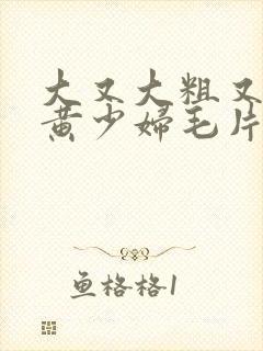 大又大粗又爽又黄少妇毛片口