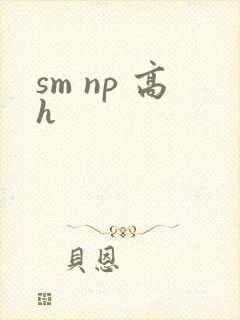 sm np 高h