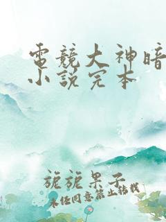 电竞大神暗恋我小说完本