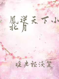 凤逆天下小说凰北月