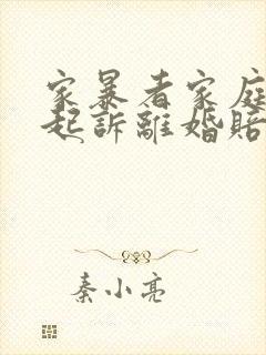 家暴者家庭暴力起诉离婚赔偿