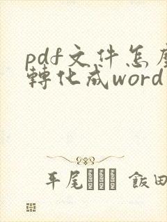 pdf文件怎么转化成word文件