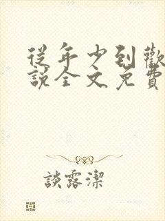 从年少到欢喜小说全文免费阅读无弹窗