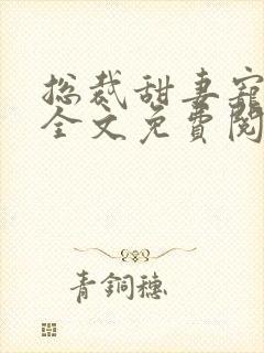 总裁甜妻宠上瘾全文免费阅读