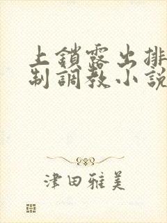 上锁露出排泄控制调教小说