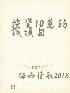 投资10万的赚钱项目