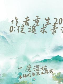作者重生2000:从追求青涩校花同桌开始小说