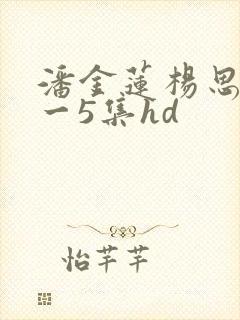 潘金莲杨思敏1一5集hd