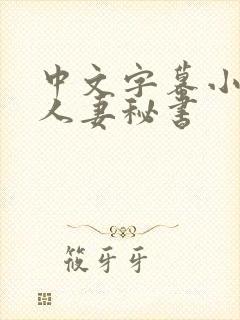 中文字幕小泽彻人妻秘书